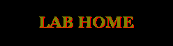 Click To Go LAB Home